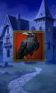 Jack O'Wild